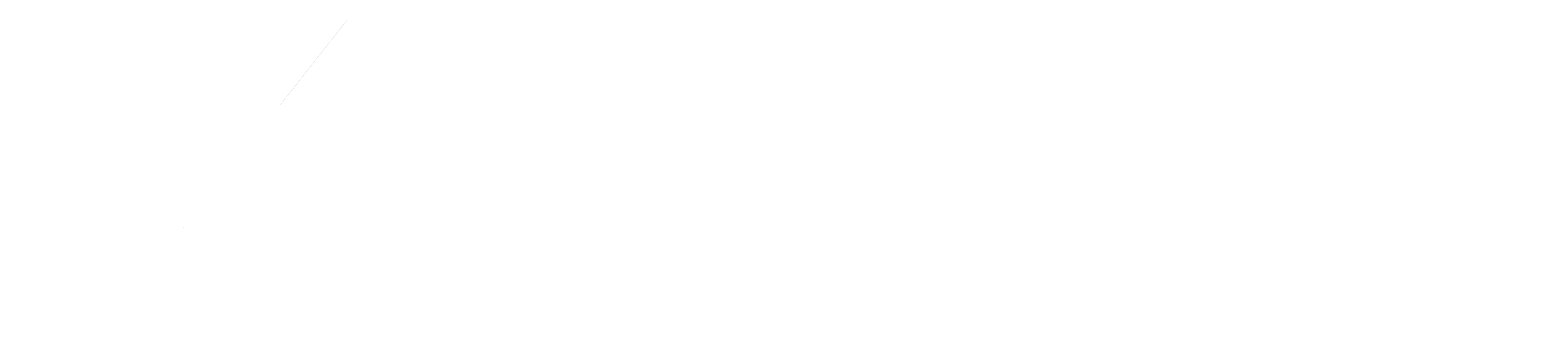 Pacific Meta Pte Ltd Logo